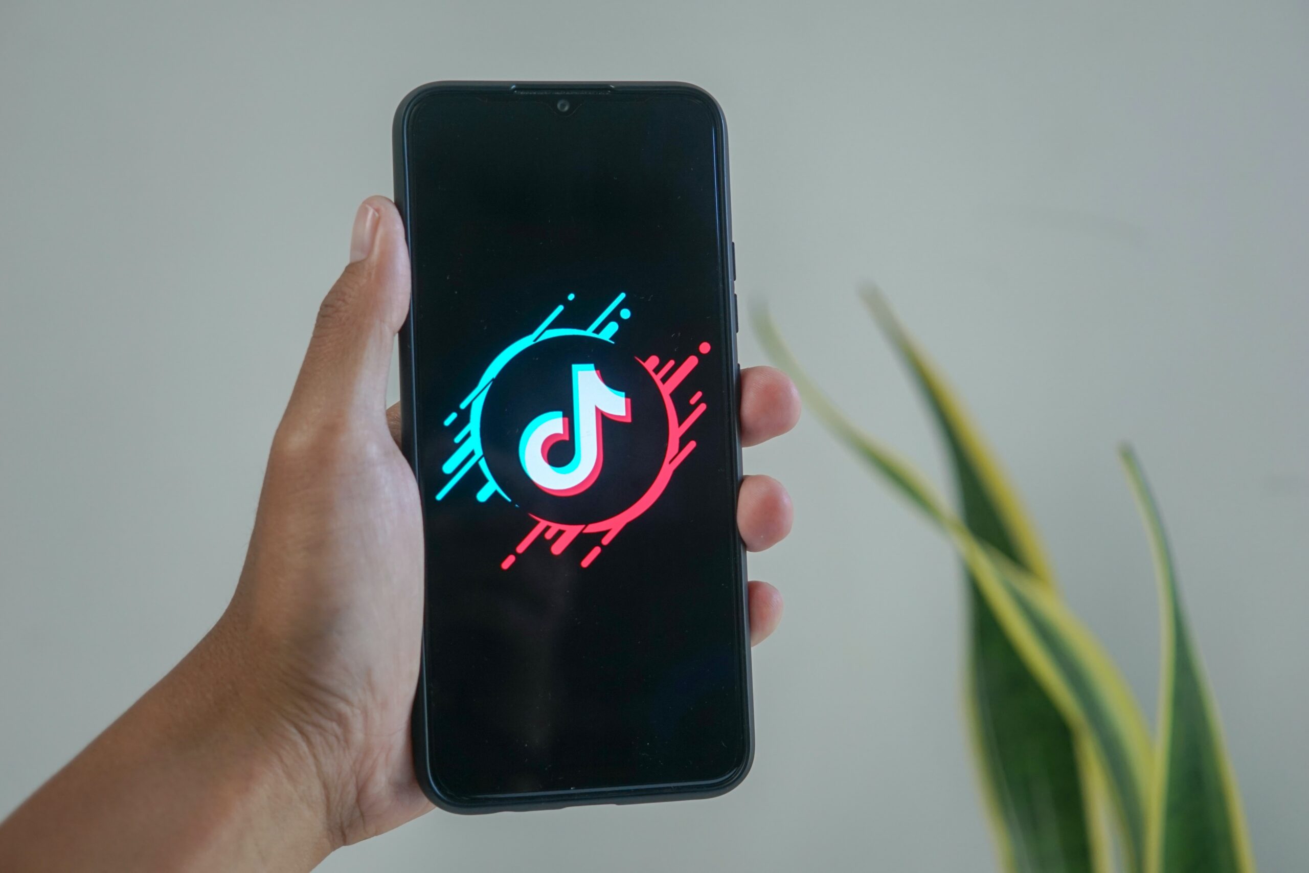 TikTok Announces New Advertising Feature | What This Means for You